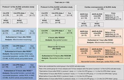 Aldehyde Dehydrogenase 2 Protects Against Post-Cardiac Arrest Myocardial Dysfunction Through a Novel Mechanism of Suppressing Mitochondrial Reactive Oxygen Species Production